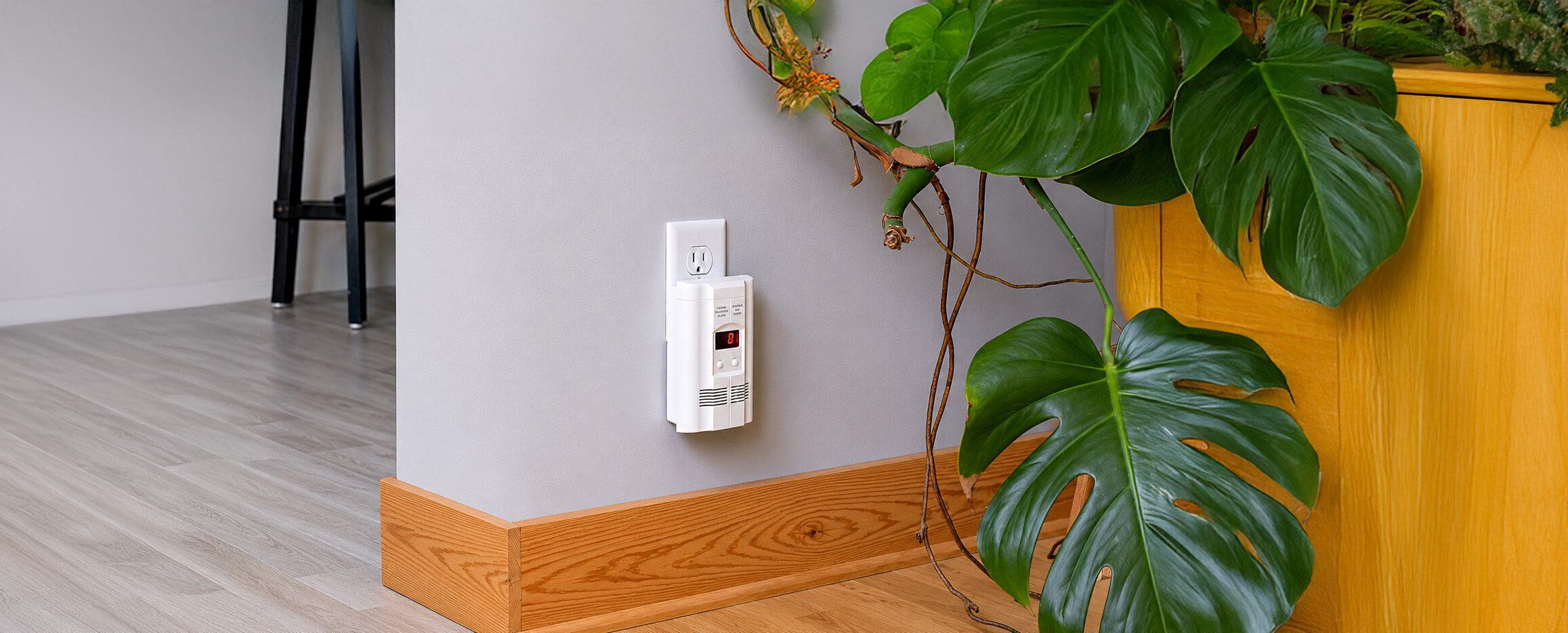 Carbon monoxide detector plugged into a wall next to a plant.